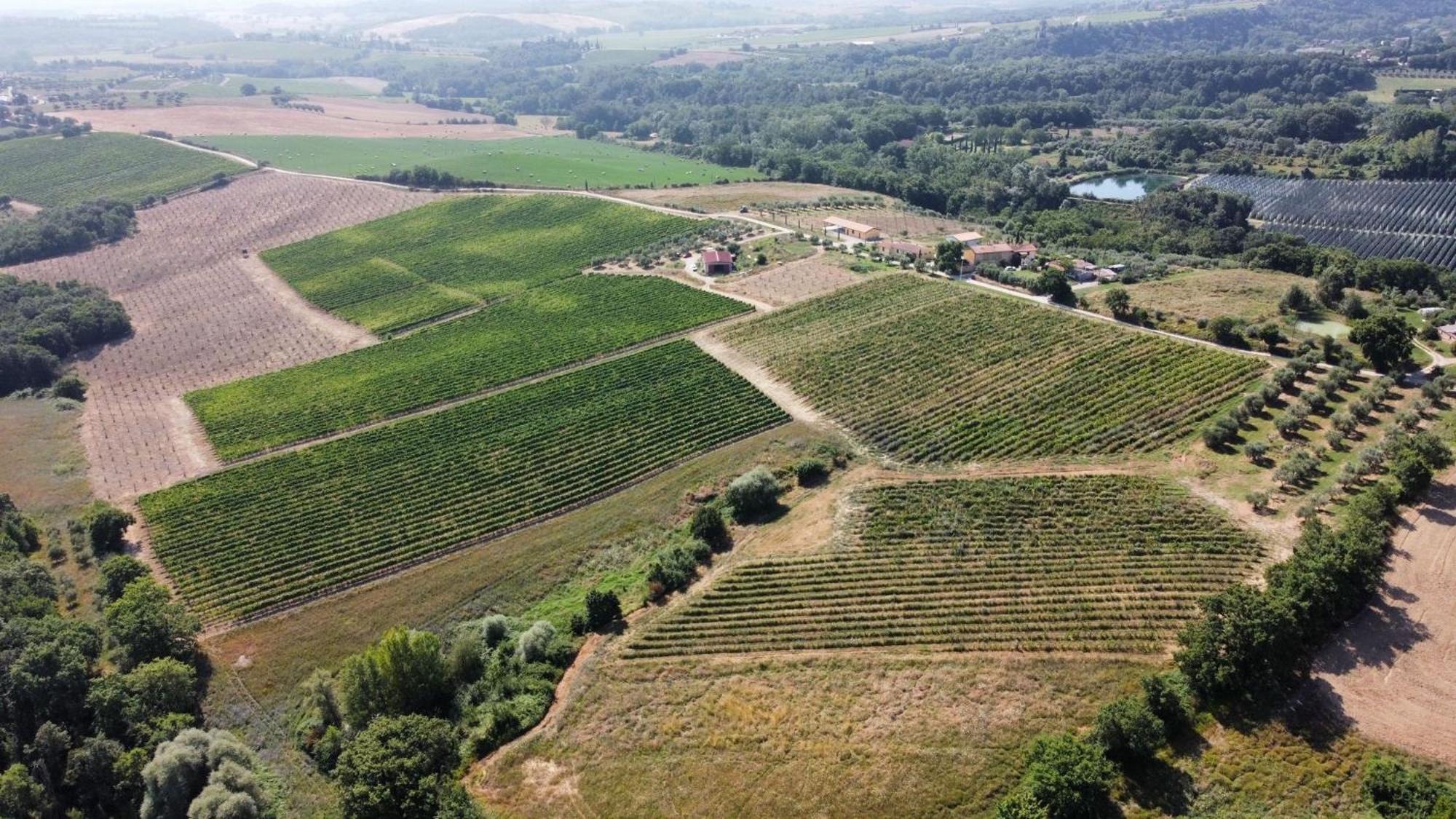 Agriturismo Podere Casa Al Vento Montepulciano Exterior photo