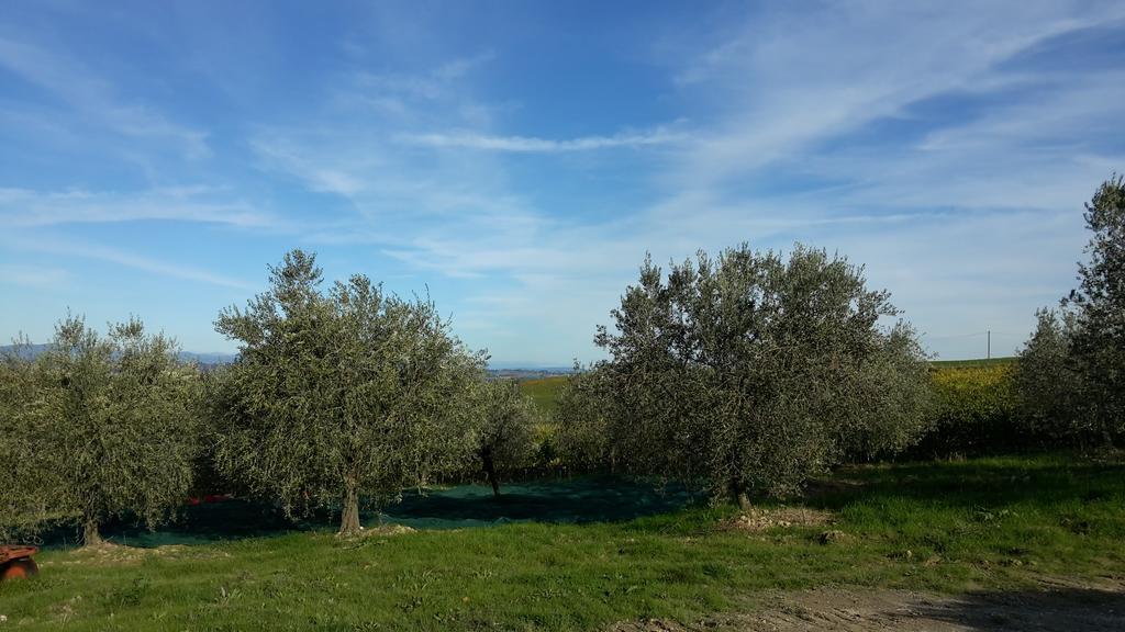 Agriturismo Podere Casa Al Vento Montepulciano Exterior photo