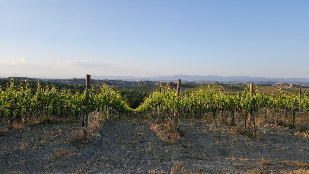 Agriturismo Podere Casa Al Vento Montepulciano Exterior photo