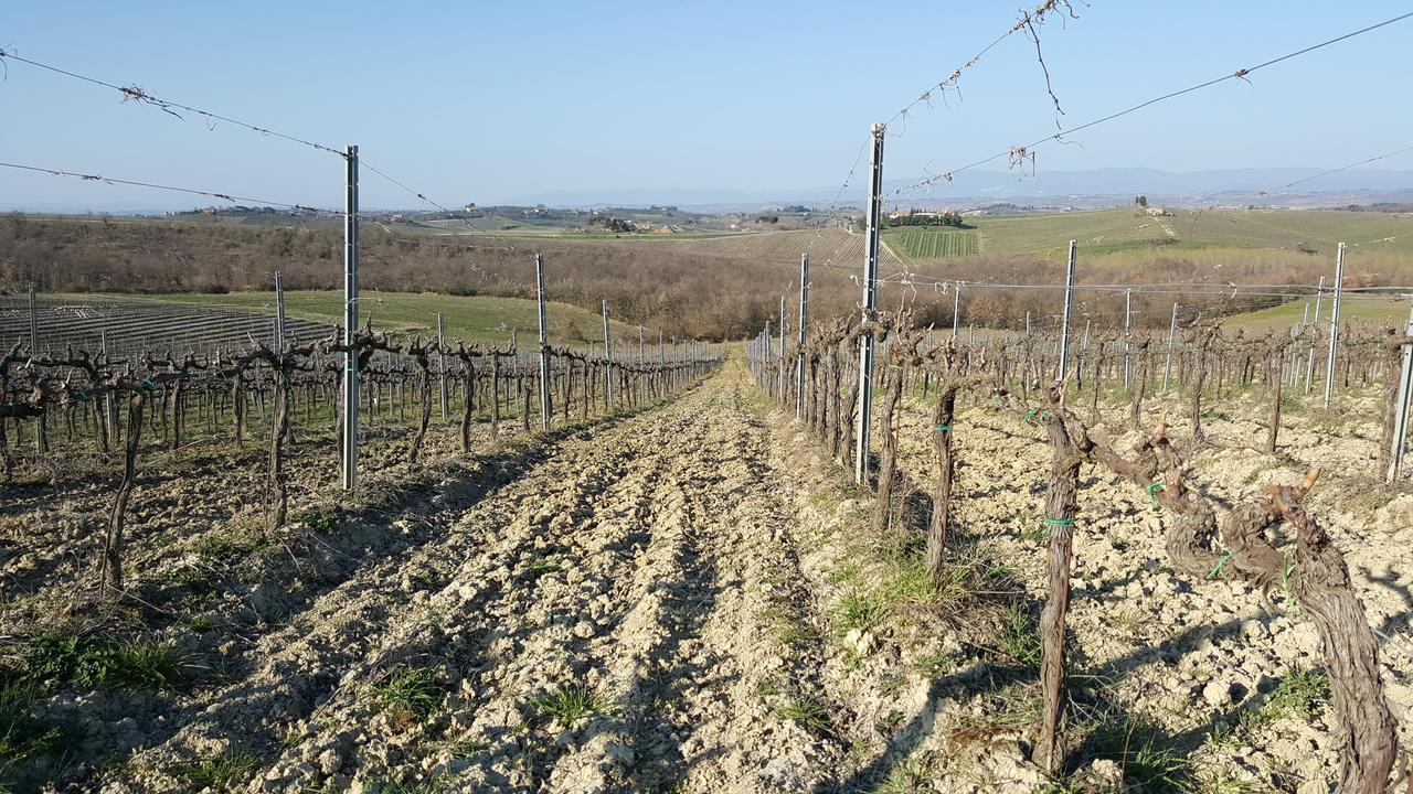 Agriturismo Podere Casa Al Vento Montepulciano Exterior photo